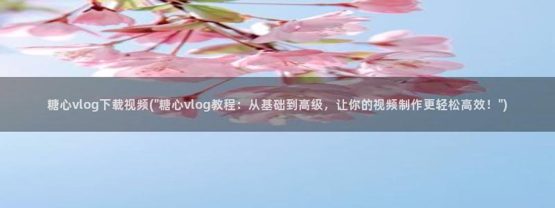糖心vlgo美女泳装cc