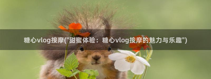 糖心vlgo一区二区三区国产