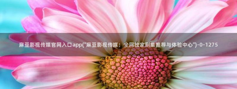 麻豆传媒官网官方入口：麻豆影视传媒官网入口app(\