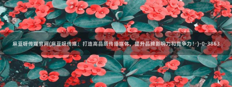 麻豆传媒官网怎么破解：麻豆呀传媒官网(麻豆呀传媒：打造高品质传播媒体，提升品牌影响力和竞争力！)