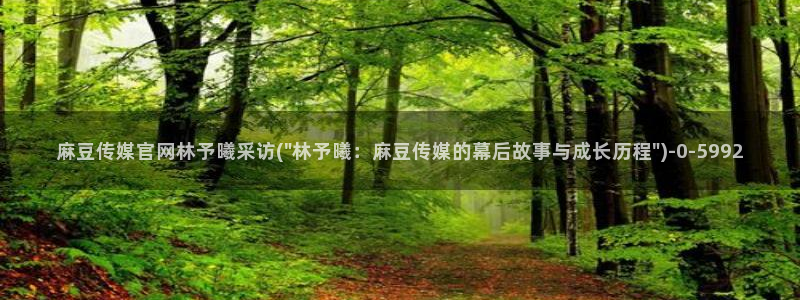 麻豆传媒官网介绍：麻豆传媒官网林予曦采访(\