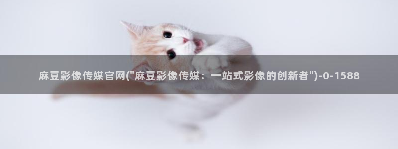麻豆文化传媒A官网最新：麻豆影像传媒官网(\