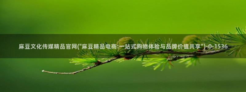 麻豆传媒官网18：麻豆文化传媒精品官网(\