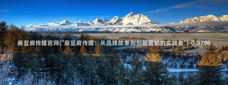 麻豆传媒官网多少：麻豆腐传媒官网(\
