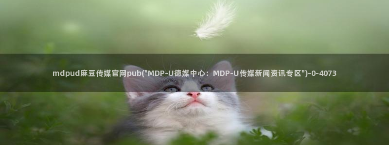 麻豆传媒国官网：mdpud麻豆传媒官网pub(\