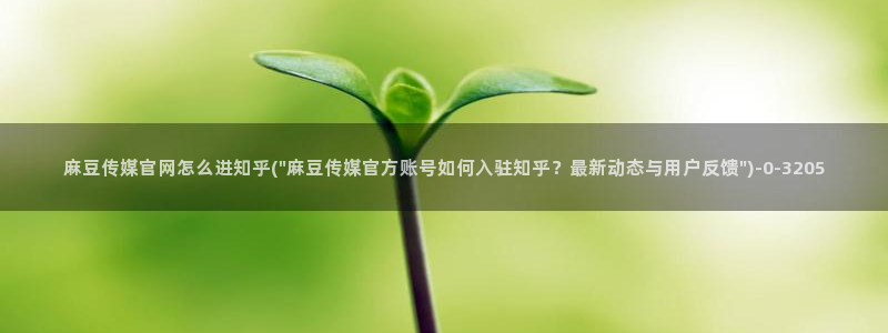 麻豆精品传媒官网：麻豆传媒官网怎么进知乎(\