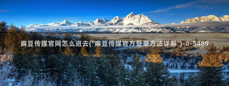 麻豆传媒官网刘思：麻豆传媒官网怎么进去(\