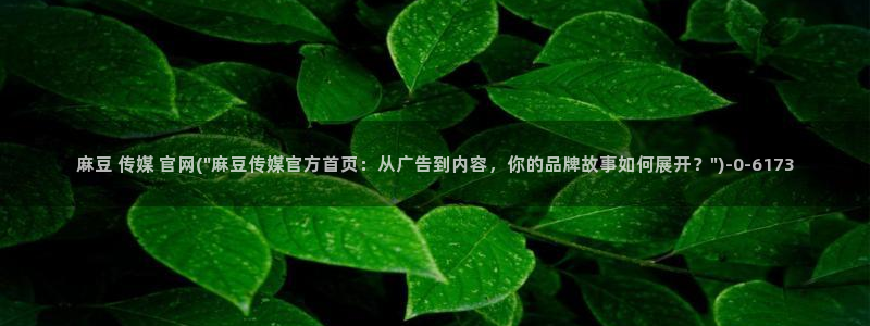 求麻豆传媒官网：麻豆 传媒 官网(\