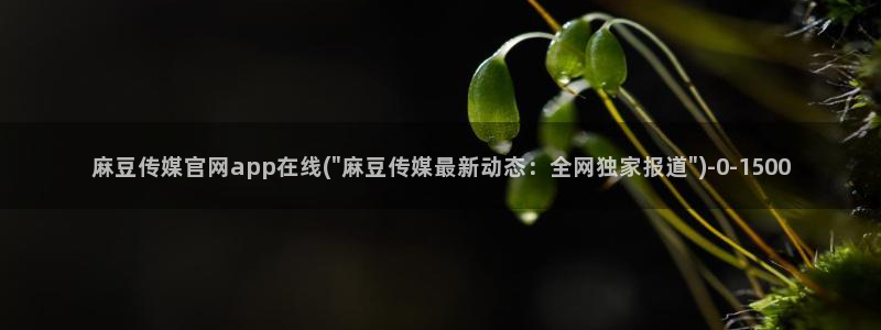 麻豆床传媒官网应聘：麻豆传媒官网app在线(\