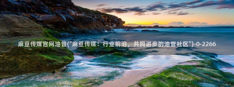 麻豆tv传媒官网：麻豆传媒官网油管(\