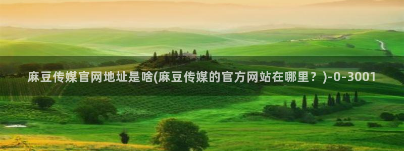 mdpup麻豆传媒官网：麻豆传媒官网地址是啥(麻豆传媒的官方网站在哪里？)