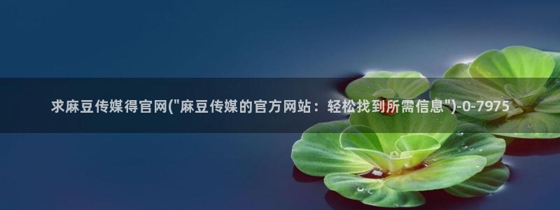 麻豆传媒 官网 成人：求麻豆传媒得官网(\