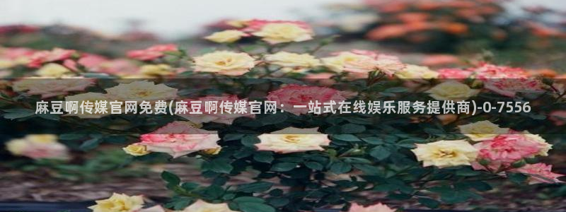 麻豆传媒官网怎么打开：麻豆啊传媒官网免费(麻豆啊传媒官网：一站式在线娱乐服务提供商)
