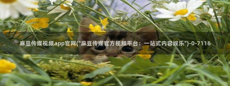 麻豆传媒官网明星：麻豆传媒视频app官网(\