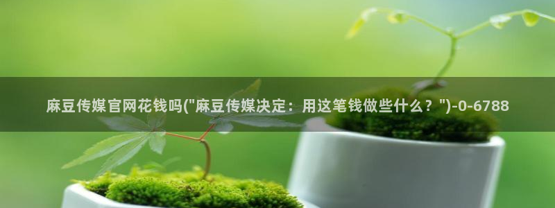 麻豆传媒官网在哪看：麻豆传媒官网花钱吗(\