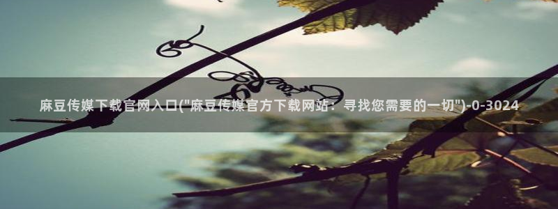麻豆传媒官网映画：麻豆传媒下载官网入口(\