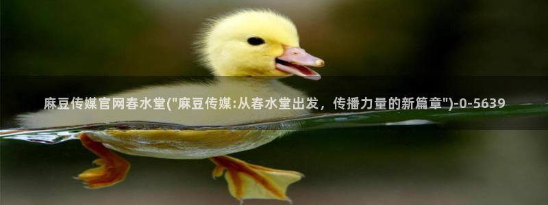 台湾麻豆传媒官网在线