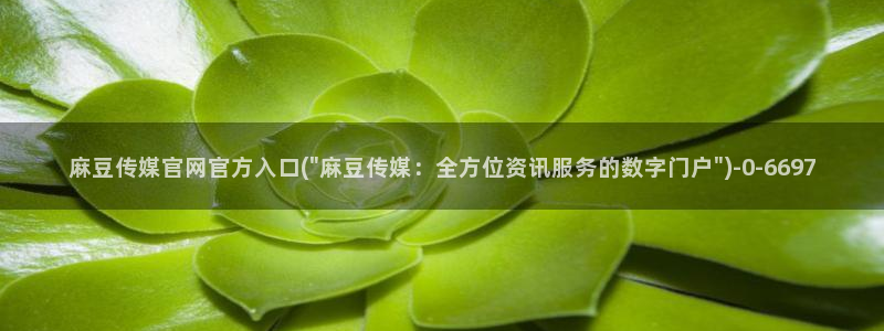 麻豆91传媒官网：麻豆传媒官网官方入口(\