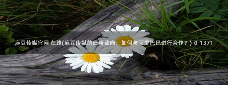 麻豆传媒体官网