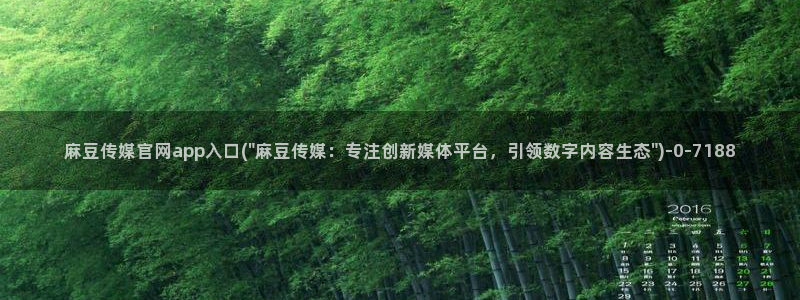 麻豆传媒印话官网：麻豆传媒官网app入口(\