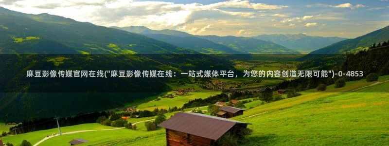 麻豆传媒直播 官网