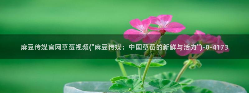 麻豆传媒官网是什么