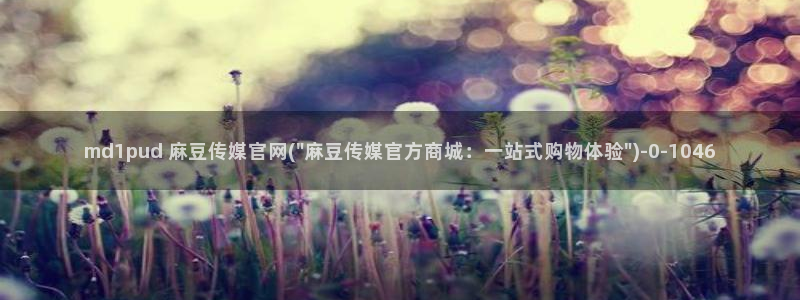 麻豆传媒在线官网入口