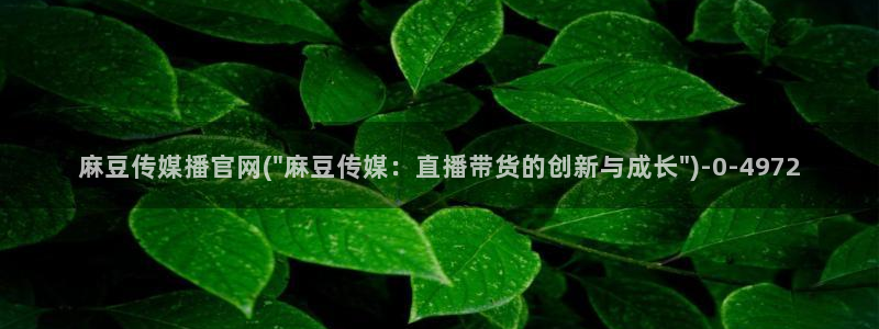 麻豆传媒官网直播：麻豆传媒播官网(\