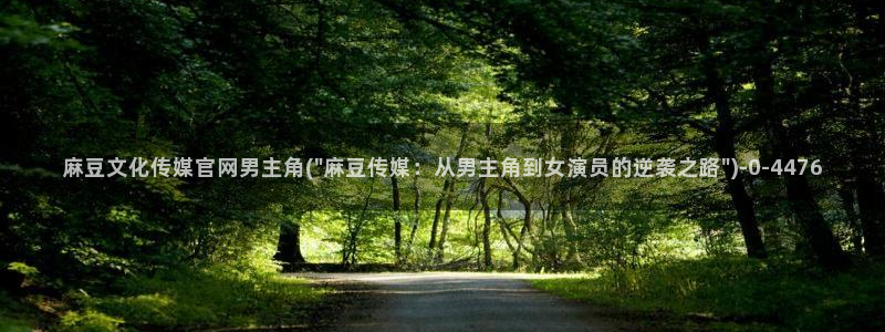 麻豆传媒官网是哪个：麻豆文化传媒官网男主角(\