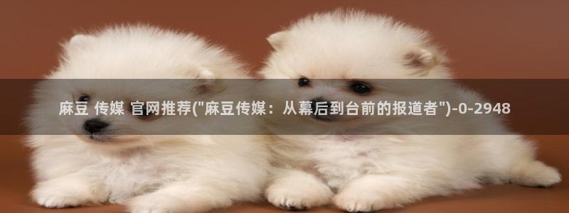 91麻豆传媒app官网